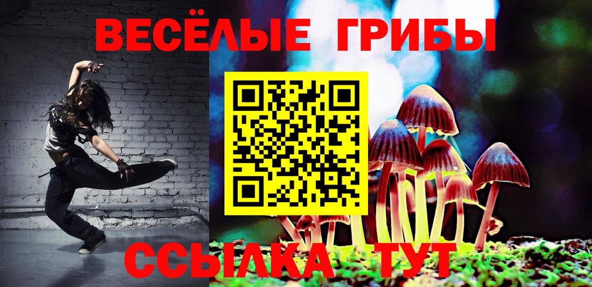 Ивантеевка  где купить наркоту  Вход с VPN  Псилоцибиновые грибы мицелий 